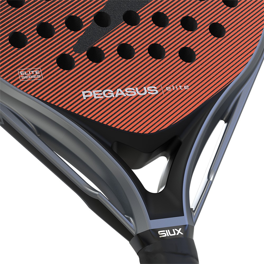 Siux Pegaso elite 4