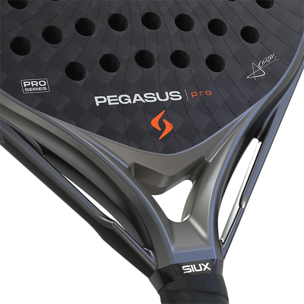 Siux Pegasus pro 2026 Grigio Tempesta