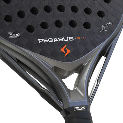 Siux Pegasus pro 2026 Grigio Tempesta
